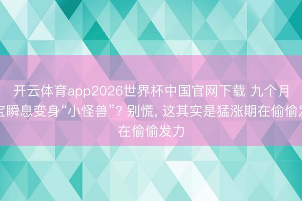 开云体育app2026世界杯中国官网下载 九个月宝宝瞬息变身“小怪兽”? 别慌, 这其实是猛涨期在偷偷发力