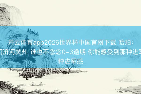 开云体育app2026世界杯中国官网下载 哈珀：咱们济河焚州 谁也不念念0-3逾期 你能感受到那种进军感
